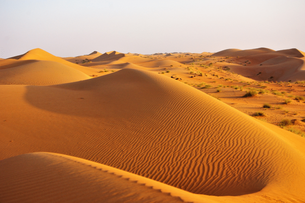 viajar a omán, viajes a omán, omán enn grupo, desierto de omán, dunas, wadi