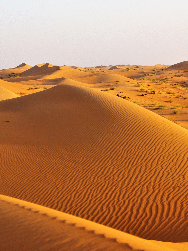 viajar a omán, viajes a omán, omán enn grupo, desierto de omán, dunas, wadi