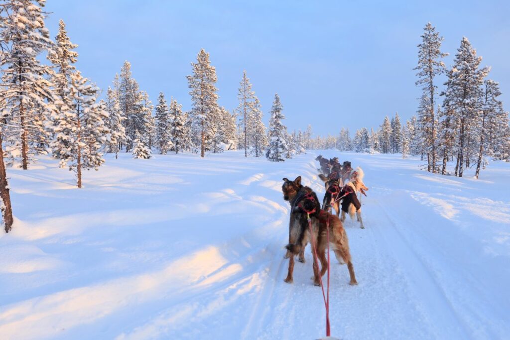 kiruna abisko viajar suecia auroras boreales escandinavia