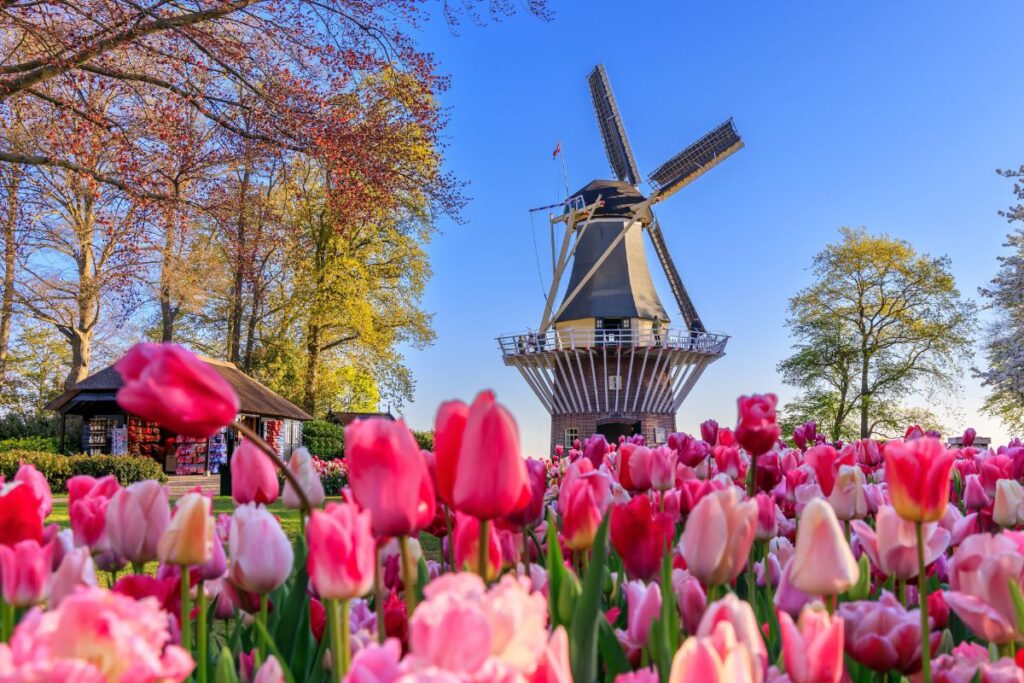 viaje en bicicleta holanda