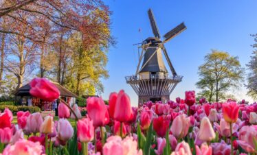 viaje en bicicleta holanda