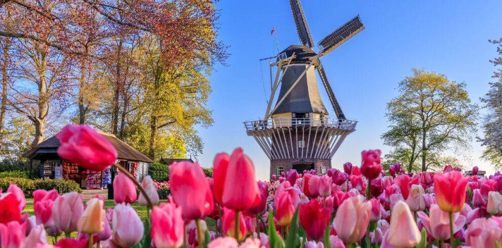 viaje en bicicleta holanda