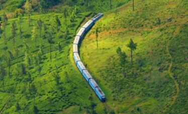 Tren a Ella en los campos de té de Ceilán