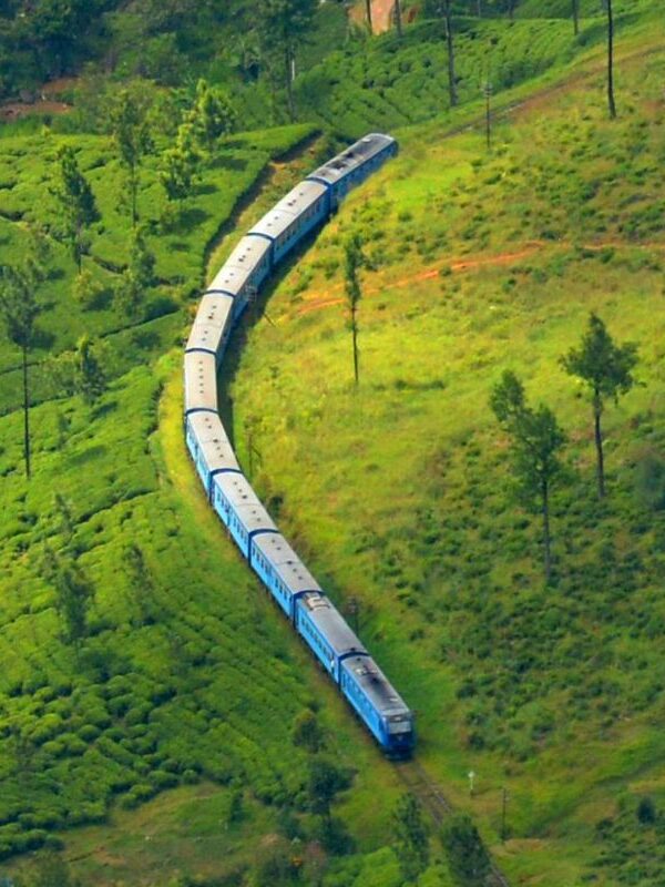 Tren a Ella en los campos de té de Ceilán