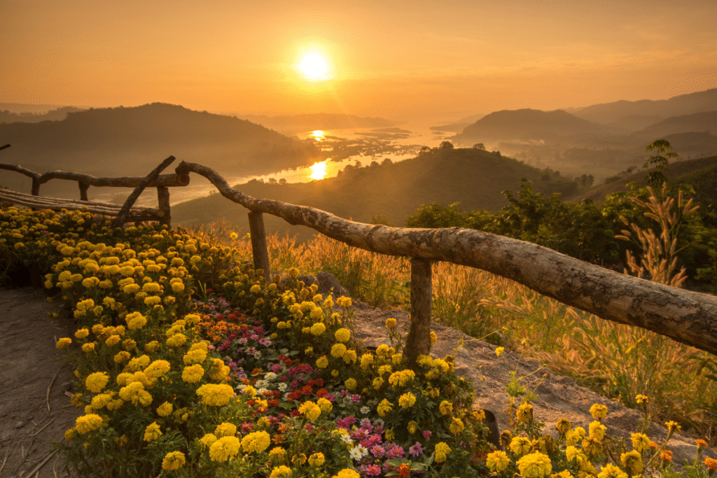 viajar rumanía shigisoara bucovina paisajes brasov dracula viaje organizado cárpatos