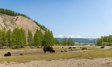 tour viaje norte mongolia karakorum mongoles gengis kan yurta ger aventura